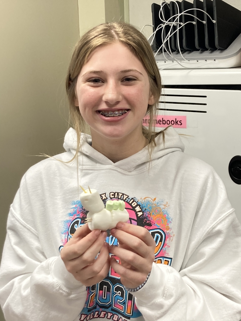 7th grade science students